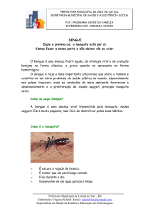 Dengue - Prefeitura de Cristal do Sul