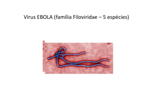 Plano de Contingencia Ebola - Pignatari