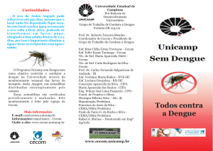 Obtenha o folder Unicamp sem dengue