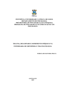 TEXTO Dissertação - Final