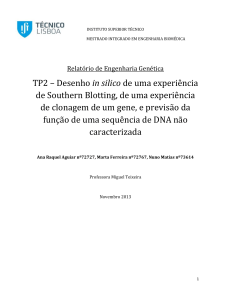 TP2 – Desenho in silico de uma experiência de Southern