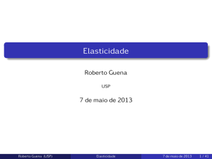 Elasticidade - Roberto Guena