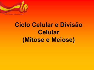 Ciclo Celular e Divisão Celular (Mitose e Meiose)