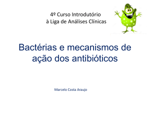 Bactérias e mecanismos de ação dos antibióticos