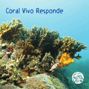 Visualizar - Coral Vivo