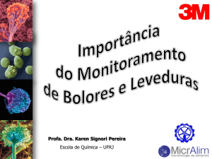 Apresentação do PowerPoint