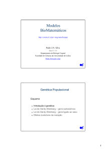 Modelos BioMatemáticos - Universidade de Lisboa