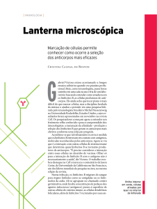 Lanterna microscópica - Revista Pesquisa Fapesp