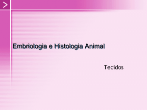 Embriologia e Histologia animal 3