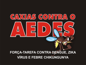 DENGUE:ASPECTOS TECNICOS DA SUA PREVENÇÃO E