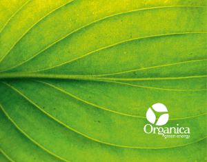 Organica Organica PDF