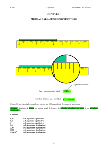 Cap I (Algarismos significativos, gráficos, vetores, revisão)