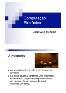 Variáveis Inteiras - Vinicius Cardoso Garcia, D.Sc.
