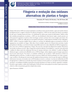 Filogenia e evolução das oxidases alternativas de plantas e fungos