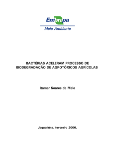 Bactérias aceleram processo de biodegradação de