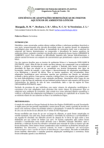 eficiência de adaptações morfológicas de insetos aquáticos