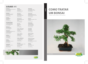 como tratar um bonsai
