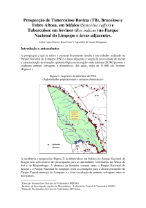 Prospecção de Tuberculose Bovina (TB), Brucelose e Febre Aftosa