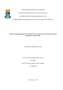 Estudo da capacidade fagocítica de celomócitos de - CCEN