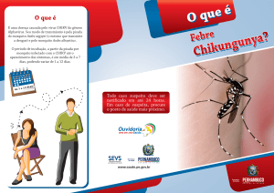 chikungunya folder final.cdr