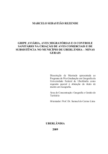 marcelo sebastião rezende gripe aviária, aves migratórias e o
