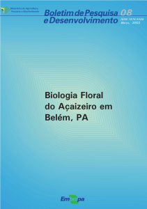 Biologia Floral do Açaizeiro em Belém, PA