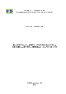 ELETROTERAPIA EM UM CANINO SUBMETIDO À