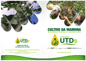 Untitled - Instituto Brasil