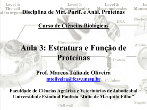 Aula 3: Estrutura e Função de Proteínas