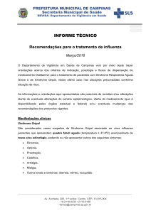 Informe Técnico sobre Influenza DEVISA - Março