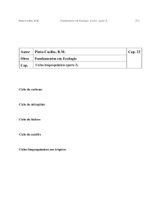 (ciclos biogeoquímicos