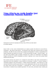 Uma ciência na corda bamba (por Guilherme Malzoni Rabello)