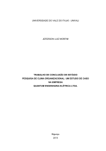 Trabalho de conclusao de curso - Jeferson Luiz Morfim