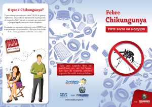 chikungunya folder 2.cdr