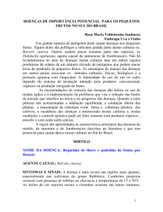 Doenças de importância potencial para os pequenos frutos no sul