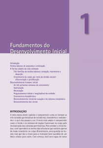 Fundamentos do Desenvolvimento Inicial