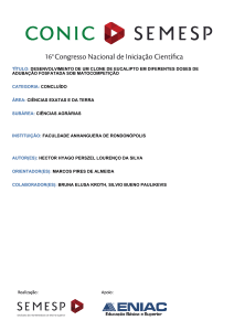 TÍTULO: DESENVOLVIMENTO DE UM CLONE DE EUCALIPTO EM