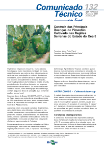 Controle das Principais Doenças do Pimentão Cultivado - Infoteca-e