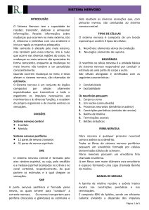 sistema nervoso - Raphael Varial
