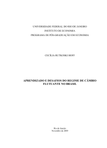 aprendizado e desafios do regime de câmbio flutuante no brasil