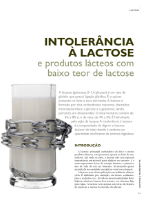 produtos lácteos com baixo teor de lactose