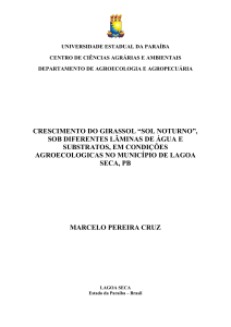 PDF- Marcelo_protected