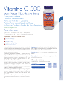 Vitamina C 500 - Grupo Novo Horizonte