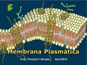 Slides Membrana Plasmática