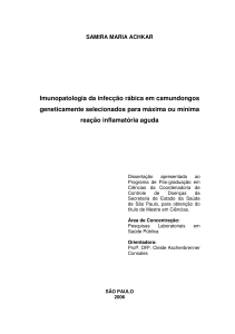 Imunopatologia da infecção rábica em camundongos