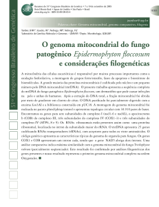 O genoma mitocondrial do fungo patogênico Epidermophyton