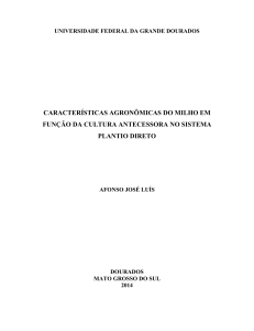 características agronômicas do milho em função da cultura