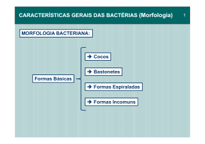 (2- Características Gerais das Bactérias \(Morfologia\) 02