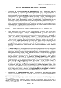 Estrutura, digestão e absorção de proteínas e aminoácidos