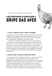 FICHA TÉCNICA SOBRE A GRIPE AVIÁRIA